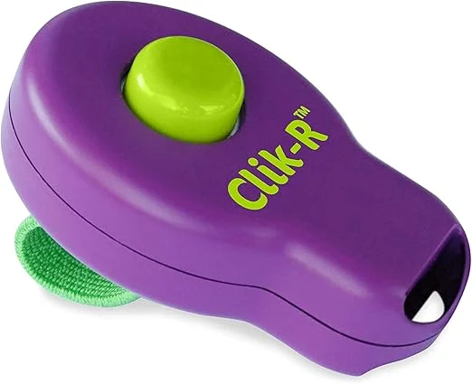 PetSafe Clik-R Dog Training Clicker, a small device used in dog training to mark good behavior with a click sound, followed by a reward.