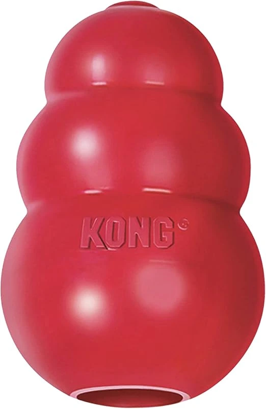 Dog enjoying playtime with KONG Classic Toy, showing a happy dog smile.