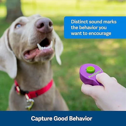 PetSafe Clik-R training clicker, a compact tool for positive reinforcement in dog training.