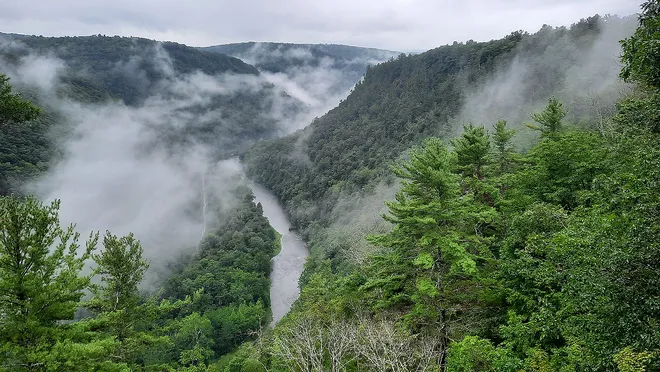 Pine Creek Gorge Overlook – Gorgeous view of Pine Creek Gorge, the Pennsylvania Grand Canyon, a must-visit places to go near me in Pennsylvania for hiking.