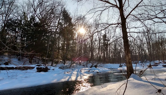 Jacobsburg Environmental Education Center Trail – Peaceful forest trail at Jacobsburg, a beginner-friendly places to go near me in Pennsylvania for hiking.