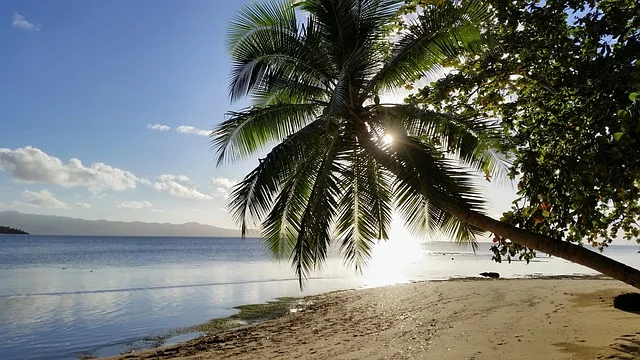 Palm-fringed beach on a remote island in Fiji, recognized as one of the most beautiful islands, under a clear blue sky.