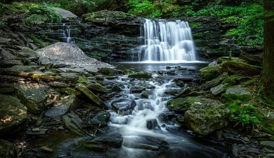 Ricketts Glen State Park Waterfall – Stunning waterfall along the Falls Trail at Ricketts Glen, a top places to go near me in Pennsylvania for hiking