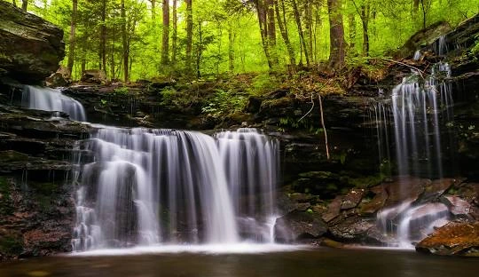 Ricketts Glen State Park Waterfall – Stunning waterfall along the Falls Trail at Ricketts Glen, a top places to go near me in Pennsylvania for hiking