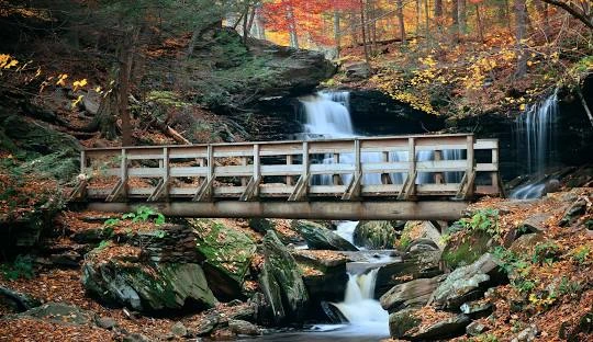 Ricketts Glen State Park Waterfall – Stunning waterfall along the Falls Trail at Ricketts Glen, a top places to go near me in Pennsylvania for hiking