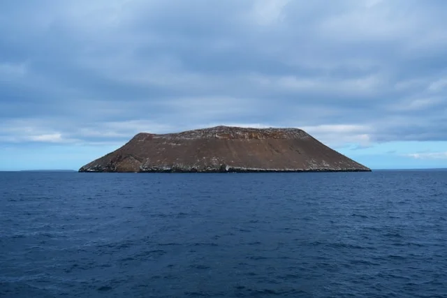 Galápagos tortoises roaming the volcanic landscape of the Galápagos Islands, known as one of the most beautiful islands for wildlife enthusiasts.