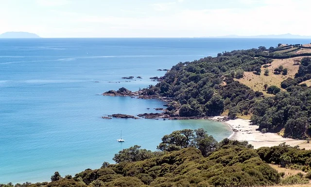 Vineyards overlooking the coastline of Waiheke Island, one of the most beautiful islands in New Zealand, on a sunny day.